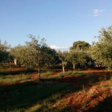 Tatil Evi Stanzia Santa Brigida *