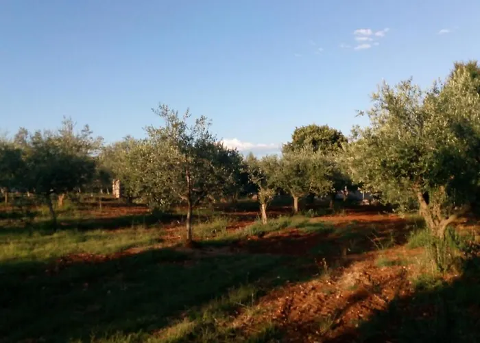 Hébergement de vacances Stanzia Santa Brigida *